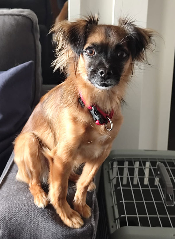 Leeloo