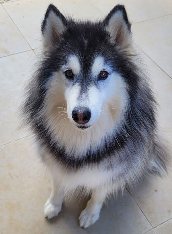 Luna